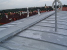 [slide/pruhonice2010-m.JPG]